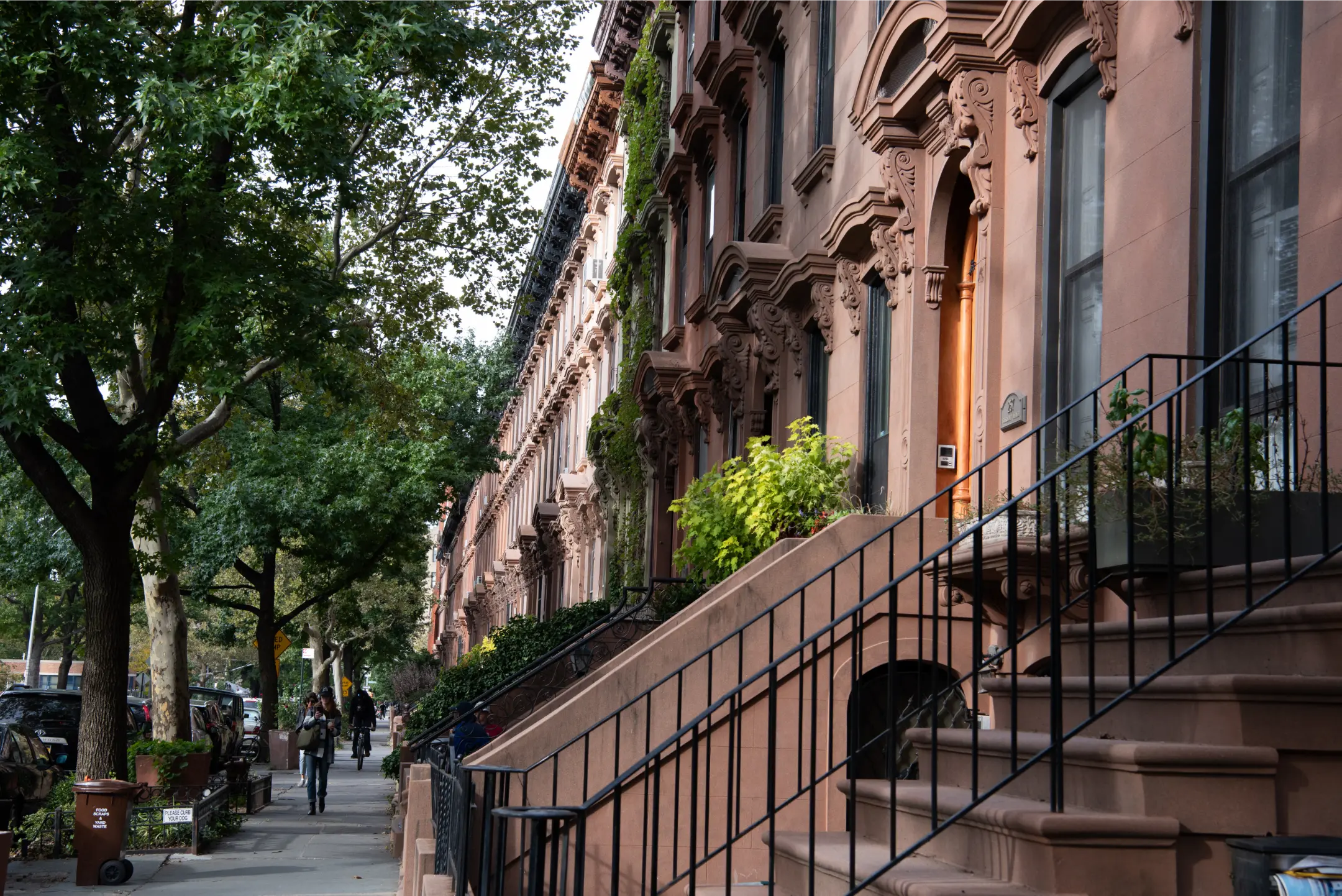 Brooklyn Communities Collaborative Appoints Dr. Nanette Thomas to Board of Directors